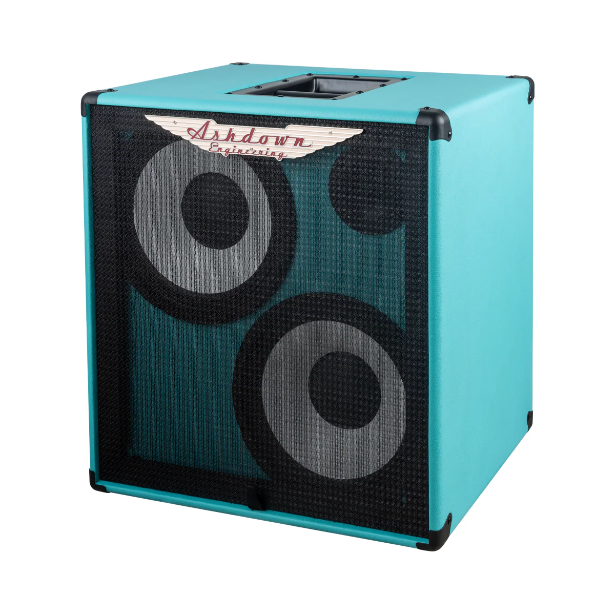 RM-210T-EVO II Super Lightweight Bass Cabinet - Image 11
